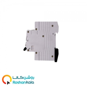 کلیدخودکار مینیاتوری یک پل۴.۵ka-c20a رویالوکس