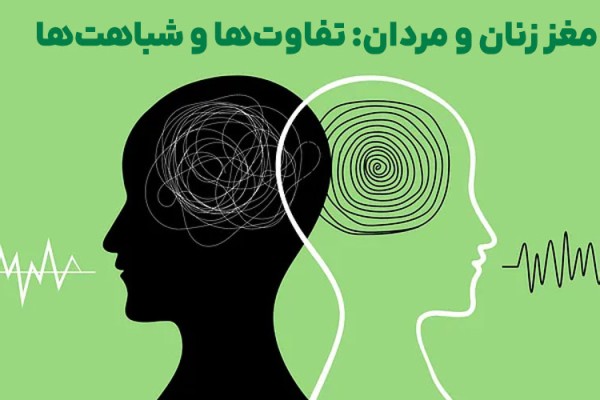 تفاوت‌های جنسیتی در رفتار: افسانه یا واقعیت؟ / مغز زنان و مردان: تفاوت‌ها و شباهت‌ها