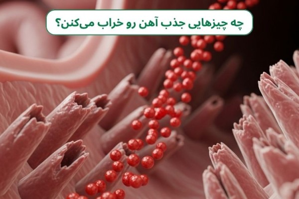 چرا آهن با اینکه خورده می‌شود، جذب بدن نمی‌شود؟ (مشکلات جذب آهن)