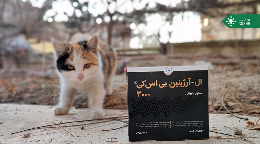 فواید ال آرژنین  را در کنار مضرات ال آرژنین بشناسید تا در تصمیم‌گیری برای مصرف آن دچار اشتباه نشوید!