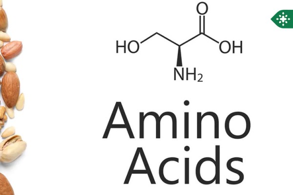 10 عوارض مکمل آمینواسید + چه خطراتی دارد؟