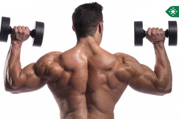 روش افزایش حجم عضلات؟ چه مکملی بخوریم؟