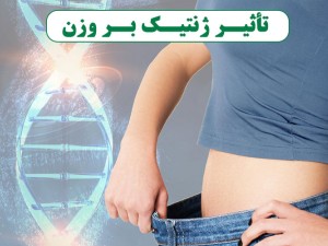 نظریه ژن‌های منحرف و ارتباط آن با چاقی: چگونه ژنتیک بر وزن ما تأثیر می‌گذارد؟