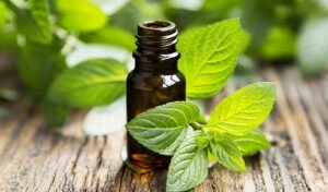 قطره خوراکی پروستاتان گل دارو