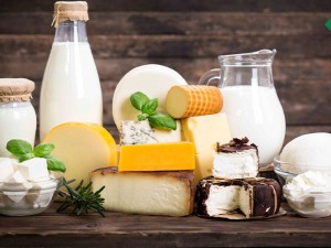 معرفی بهترین مکمل‌های پروبیوتیک به پیشنهاد کارشناسان روشا
