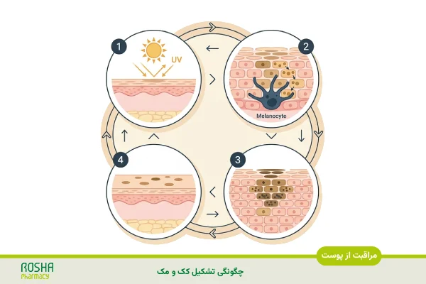 کک و مک دقیقاً چیست