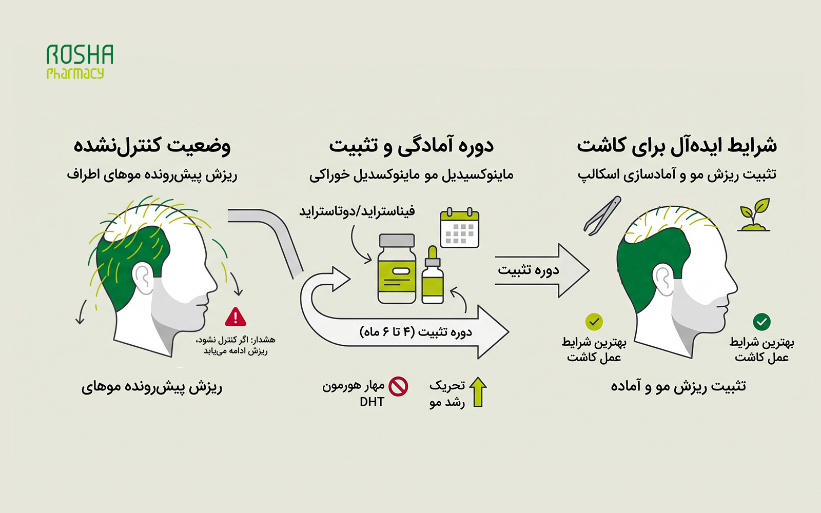 کنترل ریشه مشکل؛ تثبیت آلوپسی آندروژنیک (Androgenic Alopecia)