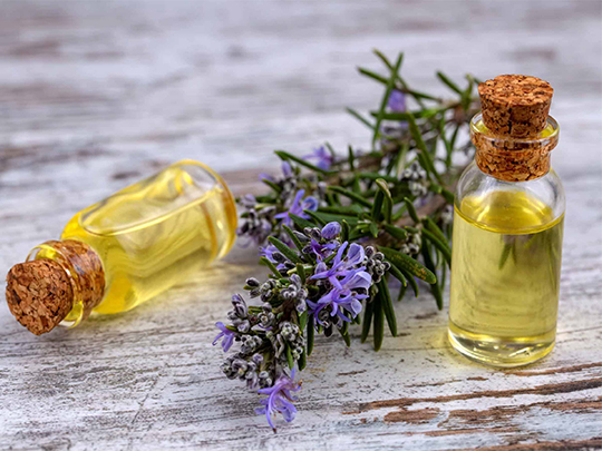 روغن رزماری