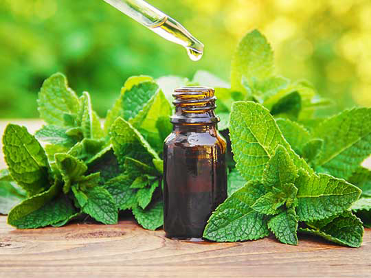 روغن نعناع