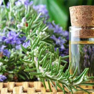 روغن رزماری