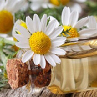 روغن بابونه