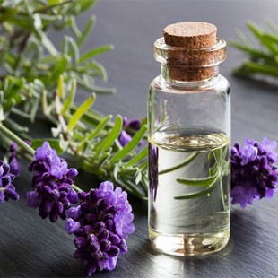 روغن اسطوخودوس