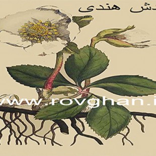 روغن کندش سیاه سنتی اصل هندوستان