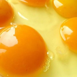 روغن زرده تخم مرغ اصلی و سنتی
