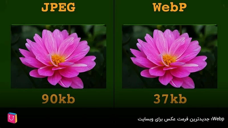  WebP ؛ جدیدترین فرمت عکس برای وبسایت