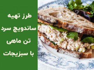 طرز تهیه ساندویچ سرد تن ماهی با سبزیجات | دستور ساده و خوشمزه (مطلب)
