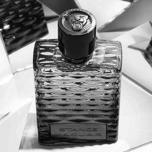 عطر و ادکلن مردانه استانس برند جگوار  (  JAGUAR   -  STANCE   )