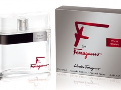 عطر مردانه اف بای فراگامو پور هوم برند سالواتوره فراگامو  ( Salvatore Ferragamo - F by Ferragamo Pour Homme )