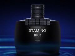عطر و ادکلن مردانه استامینو بلو  برند پرایم کالکشن  (  Prime Collection -  stamino blue  )