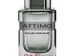 عطر مردانه آتیمو پور هوم  برند سالواتوره  فراگامو  ( Salvatore Ferragamo -   Attimo Pour Homme  )