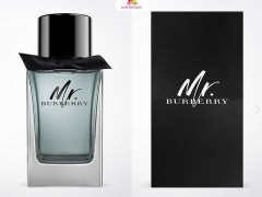 عطر مردانه مستر باربری برند باربری  ( BURBERRY -  MR.BURBERRY )