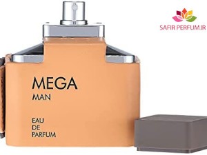 عطر و ادکلن مردانه مگا برند فلاویا  (  FLAVIA  -  MEGA MAN   )
