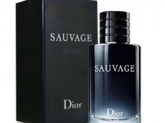عطر مردانه  ساویج  برند دیور   (  DIOR  -  SAUVAGE   )