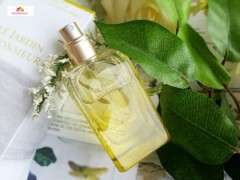    تعداد مشتریان ما، بیانگر رضایت بالای آنها از کالاها و خدمات عطر سفیر پرفیوم است     برای سفارش این کالا می توانید با شماره های  021-88429134  021-77263095  09106855120  تماس بگیرید     عطر سفیر پرفیوم ارائه دهنده انواع عطر و ادکلن درجه یک و عالی زنانه 