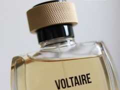 عطر و ادکلن مردانه ولتیر برند پرینسس پارفومز   (  PRINCESSE PARFUMS   -  VOLTAIRE  )