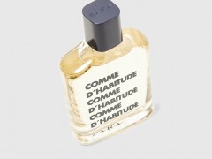 عطر و ادکلن مردانه کام د وی تود برند زارا  (  ZARA   -  COMME DHABITUDE    )