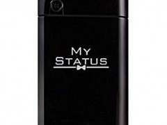 عطر و ادکلن مردانه مای استتوس برند مریاژ (  MARYAJ   -  MY STATUS   )