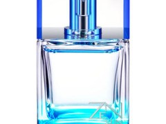 عطر و ادکلن مردانه زن سان برند شیسیدو  ( SHISEIDO -  ZEN SUN FOR MEN  )