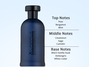 عطر و ادکلن مردانه اکسچنج واندرمن برند جی پارلیس  ( GEPARLYS -  XCHANGE WONDERMAN )