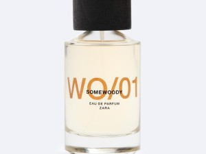 عطر و ادکلن مردانه سام وودی برند زارا  (  ZARA   -  WO/01 SOMEWOODY   )