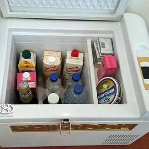 یخچال خودرو کمپرسور دار فیلکول Philcool