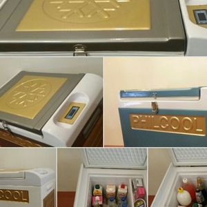 یخچال خودرو کمپرسور دار فیلکول Philcool