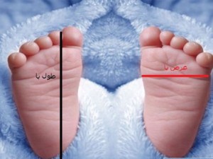 راهنمای انتخاب سایزلباس و پاپوش نوزادی وبانوان