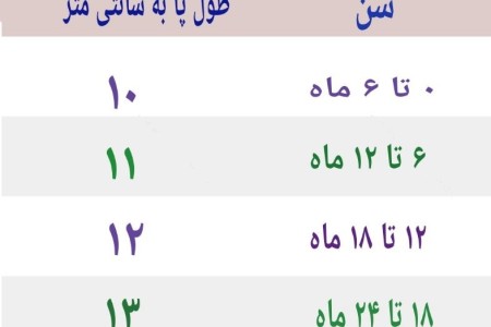 پاپوش نوزادی پسرانه ویکو مدل NM.1GD