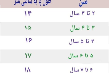 پاپوش نوزادی پسرانه ویکو مدل NM.1GD