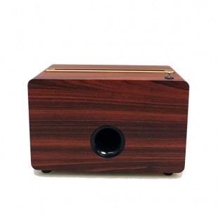 اسپیکر NNS NS-S107 دارای استند گوشی