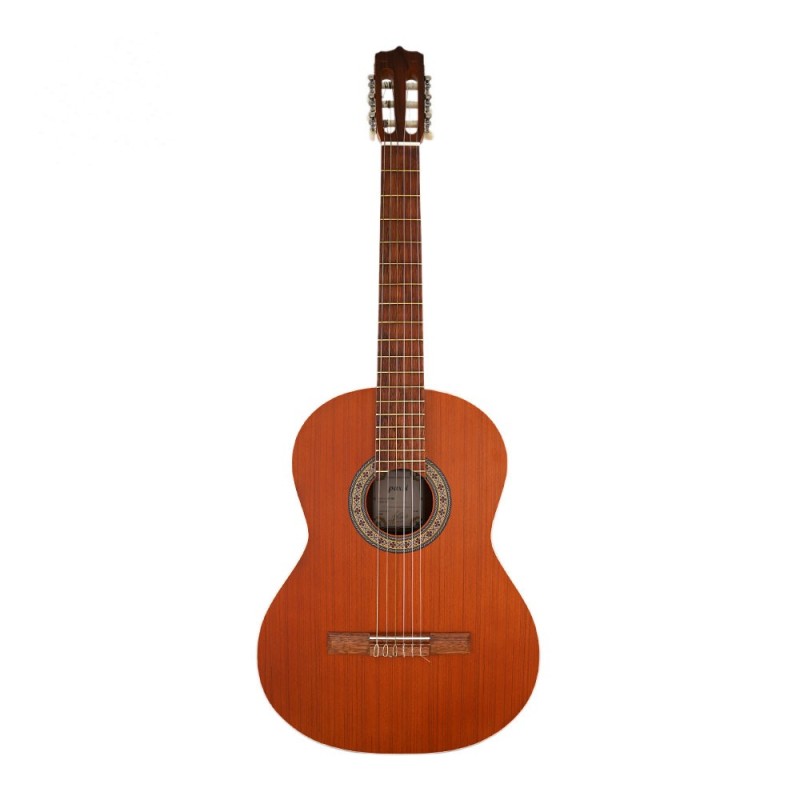 گیتار پارسی مدل P40