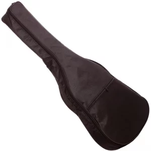 سافت کیس گیتار