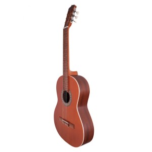 گیتار پارسی مدل P40-ملودی ساز4