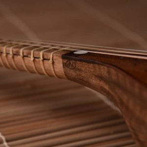 سه تار نادعلی-ملودی ساز6