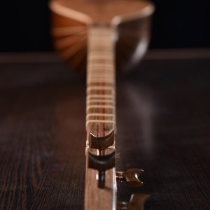 سه تار نادعلی-ملودی ساز8