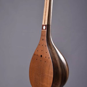 سه تار نادعلی-ملودی ساز5