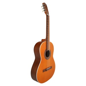 گیتار پارسی مدل M5-ملودی ساز2