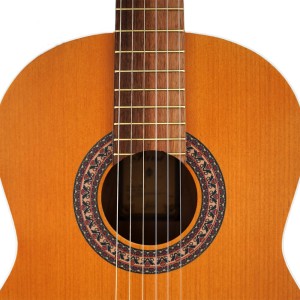 گیتار پارسی مدل M5-ملودی ساز7