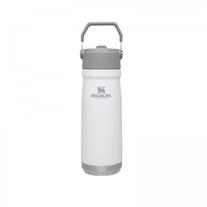 ماگ استنلی سفید 650 میلی لیتر Flip Straw Water Bottle