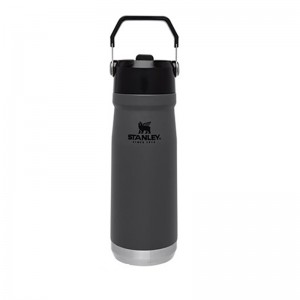 ماگ استنلی مشکی 650 میلی لیتر Flip Straw Water Bottle